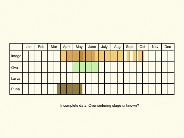  Life stages table Copyright Martin Evans 