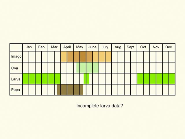  Life stages table Copyright Martin Evans 