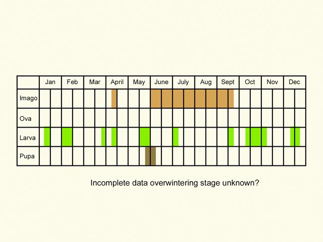  Life stages table Copyright Martin Evans 