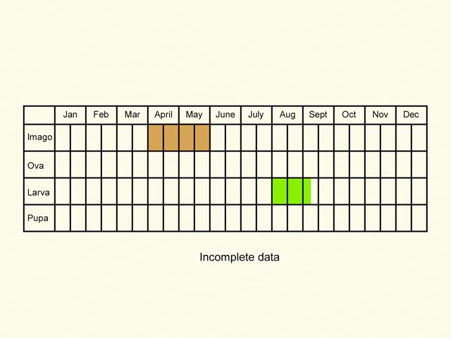  Life stages table Copyright Martin Evans 