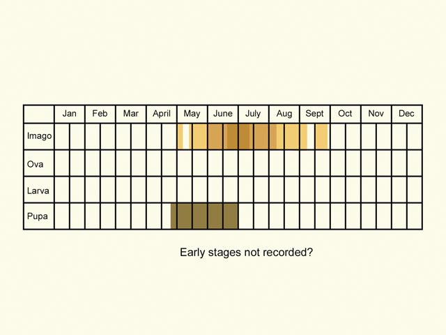  Life stages table Copyright Martin Evans 