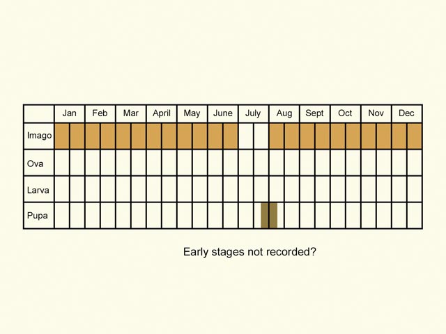  Life stages table Copyright Martin Evans 