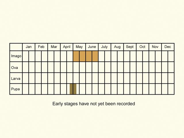 Life stages table Copyright Martin Evans 