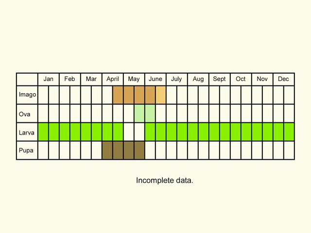  Life stages table Copyright Martin Evans 
