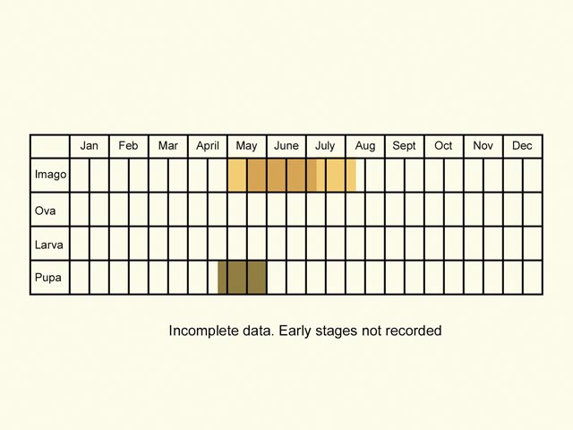  Life stages table Copyright Martin Evans 