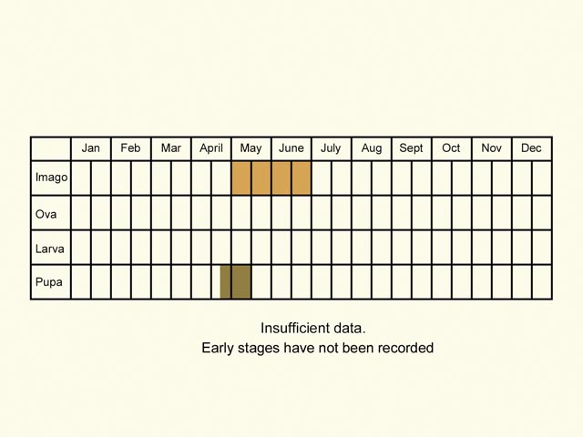  Life stages table Copyright Martin Evans 