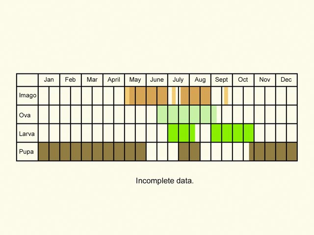  Life stages table Copyright Martin Evans 