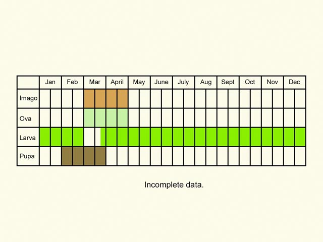  Life stages table Copyright Martin Evans 