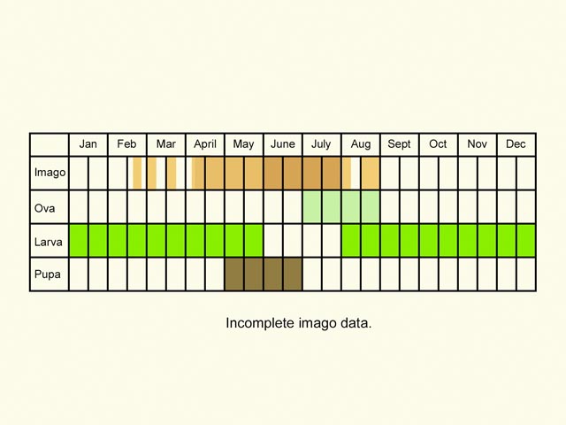  Life stages table Copyright Martin Evans 