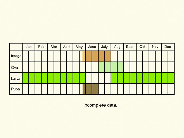  Life stages table Copyright Martin Evans 
