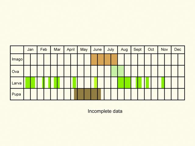 Life stages table Copyright Martin Evans 