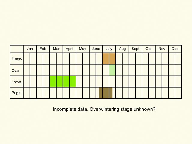  Life stages table Copyright Martin Evans 