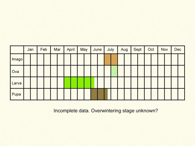  Life stages table Copyright Martin Evans 