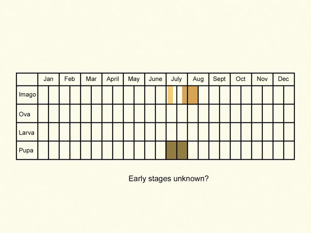  Life stages table Copyright Martin Evans 