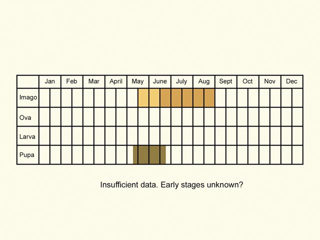  Life stages table Copyright Martin Evans 
