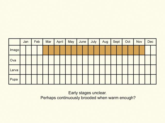 Life stages table Copyright Martin Evans 