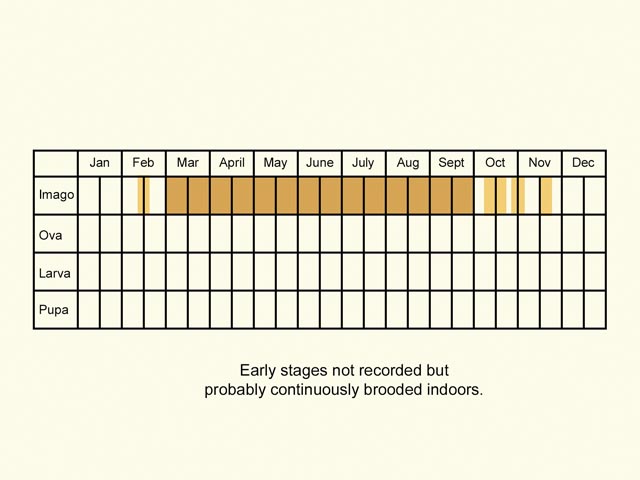  Life stages table Copyright Martin Evans 