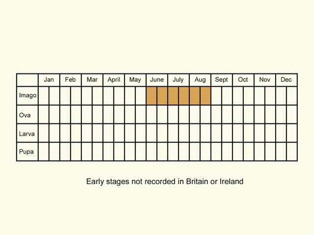  Life stages table Copyright Martin Evans 