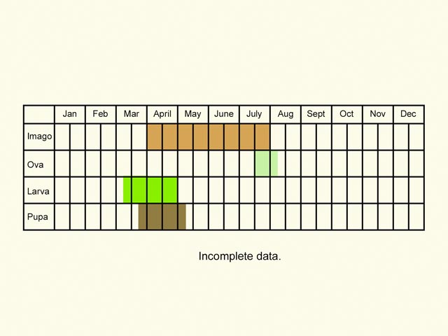  Life stages table Copyright Martin Evans 
