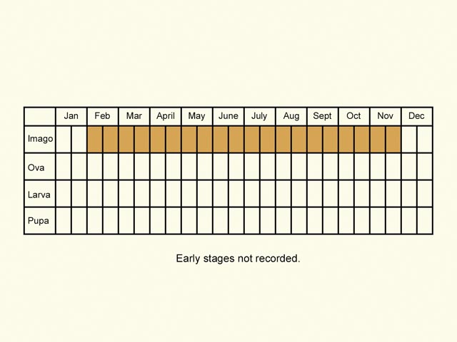  Life stages table Copyright Martin Evans 