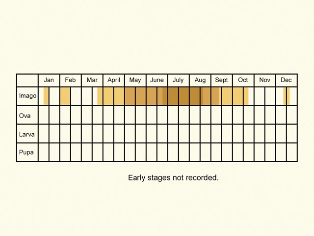  Life stages table Copyright Martin Evans 