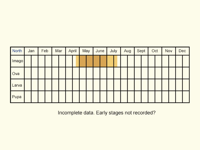  Life stages table north Copyright Martin Evans 