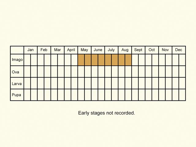  Life stages table Copyright Martin Evans 