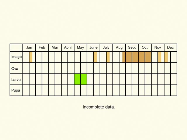  Life stages table Copyright Martin Evans 