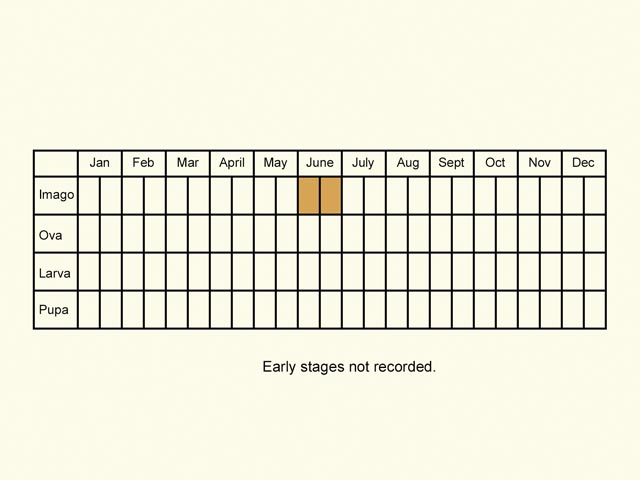  Life stages table Copyright Martin Evans 