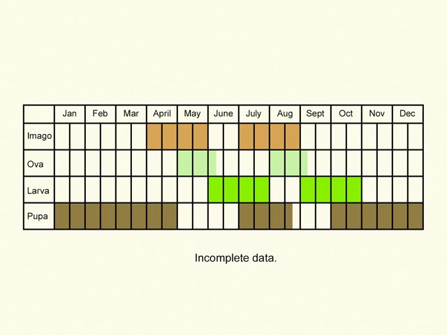  Life stages table Copyright Martin Evans 