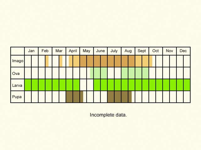  Life stages table Copyright Martin Evans 
