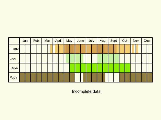  Life stages table Copyright Martin Evans 