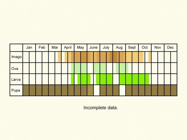  Life stages table Copyright Martin Evans 