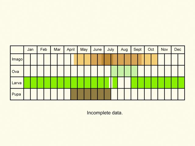  Life stages table Copyright Martin Evans 