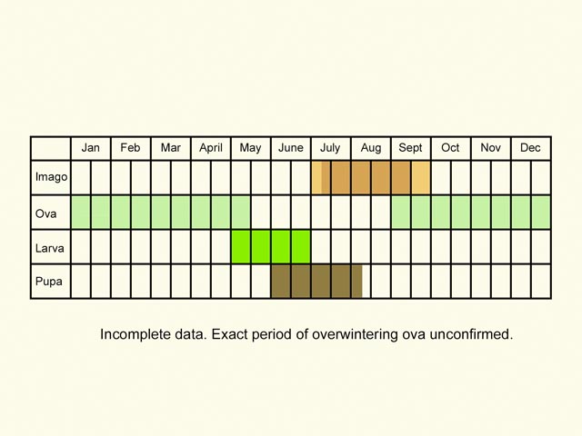  Life stages table Copyright Martin Evans 