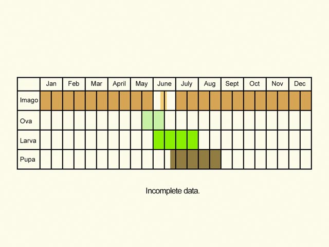  Life stages table Copyright Martin Evans 