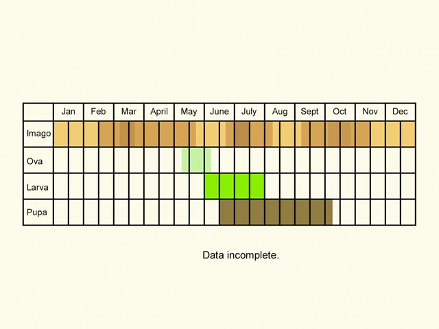  Life stages table Copyright Martin Evans 