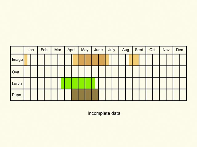  Life stages table Copyright Martin Evans 
