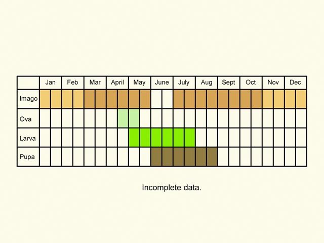  Life stages table Copyright Martin Evans 