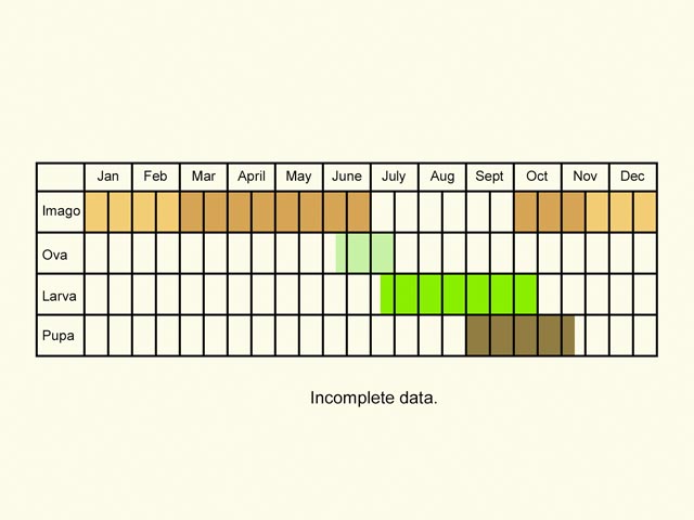  Life stages table Copyright Martin Evans 
