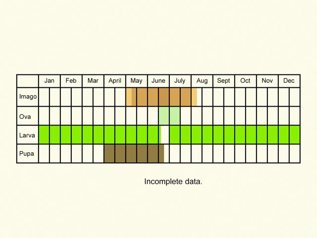  Life stages table Copyright Martin Evans 