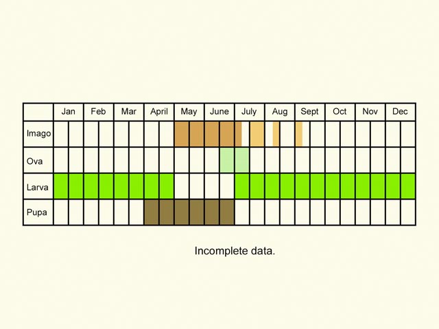  Life stages table Copyright Martin Evans 