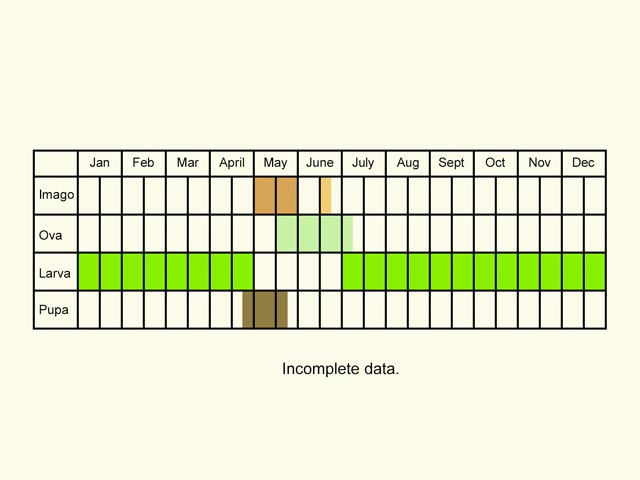  Life stages table Copyright Martin Evans 