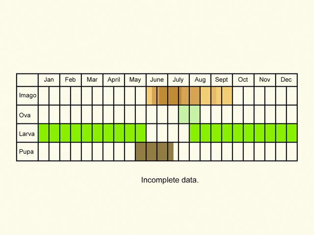  Life stages table Copyright Martin Evans 