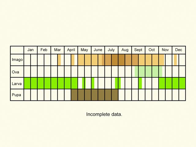  Life stages table Copyright Martin Evans 