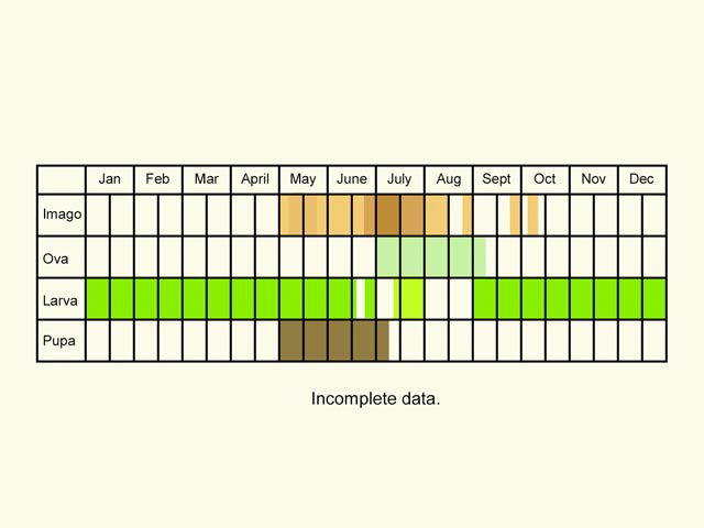  Life stages table Copyright Martin Evans 