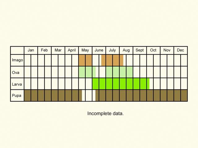  Life stages table Copyright Martin Evans 