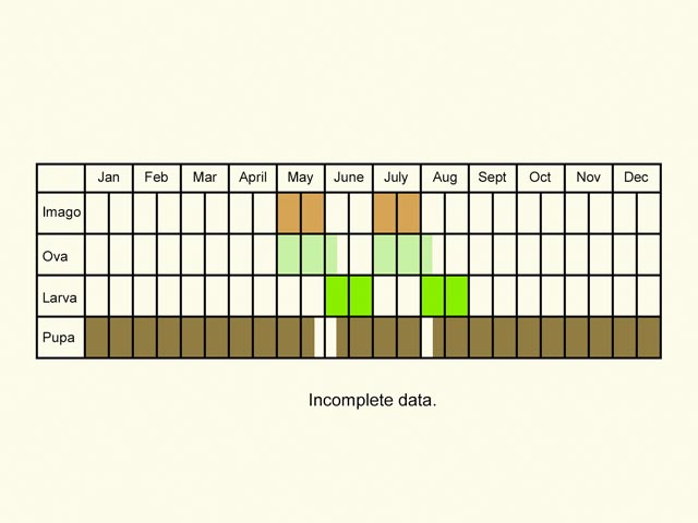  Life stages table Copyright Martin Evans 