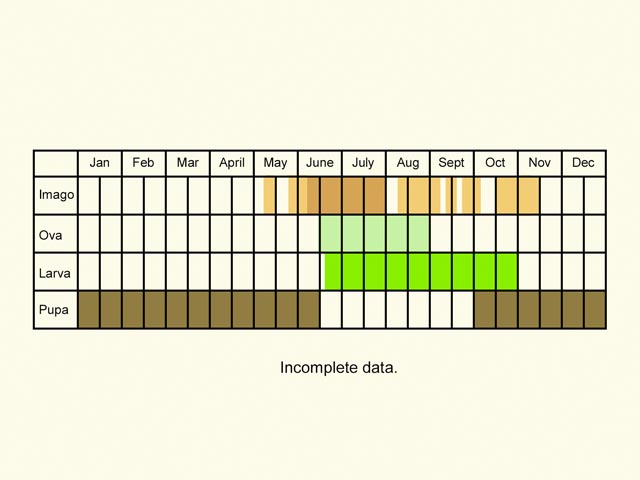  Life stages table Copyright Martin Evans 