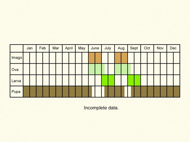  Life stages table Copyright Martin Evans 